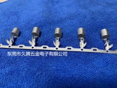 6.0保險絲銅管端子